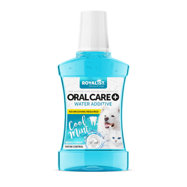 Royalist Cool Mint Ağız Bakım Suyu 250 ML