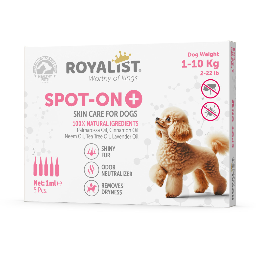 Royalist Köpek Damlası 1-10 KG