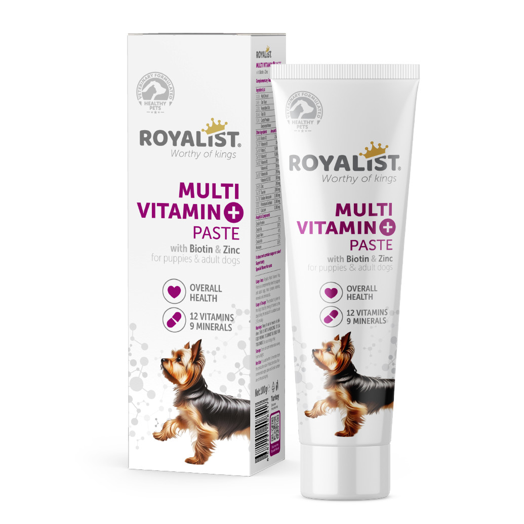 Royalist Köpek Multivitamin Paste 100 GR